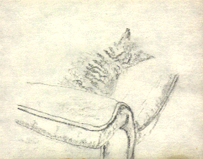 Drawing of Alice sleeping